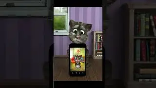 tom h&aacute;t ao moi ca mau