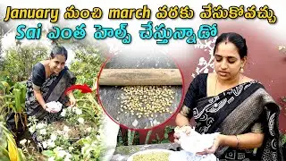 January నుంచి march వరకు వేసుకోవచ్చు || TELUGU GARDEN VLOG
