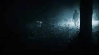 golf ball hunting, strange figure found in the woods at night 😱😱😱