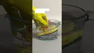 How to Sanitize A Kitchen Sponge #cleaning