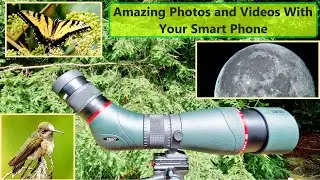 GoSky EagleView 20-60x85 ED Spotting Scope Review - Many Examples