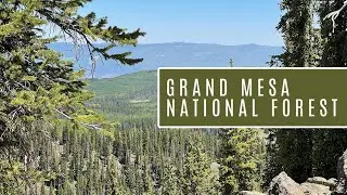 Hiking Crag Crest Trail on Colorado&rsquo;s Grand Mesa - IN THE WILD