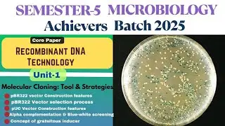 pBR322 & pUC Vector construction Features & selection method | Blue-White screening | IPTG & X-Gal|