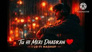 Tu Hi Meri Dhadkan ❤️ | Hindi Lo-Fi Mashup (Slowed x Reverb) Thanks for Watching Guys #hindilofi 