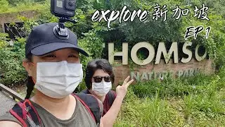 [Explore新加坡 ep 1] 在 Thomson Nature Park 遇到野豬，怕屁股被它們咬!??
