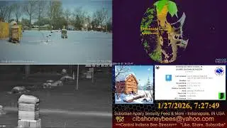 2026/1/27 Back Yard Cam - Weather - Snow Covered Bee Hives - Security Feed - Indianapolis, IN USA