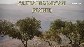 Coran en Fran&ccedil;ais / French NON STOP live 24h/24h