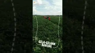 Drilling crew
