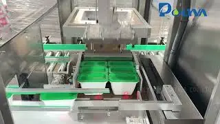 Automatic Case Packer for Laundry Pods & Detergent Products | High-Speed Cartoning Solution