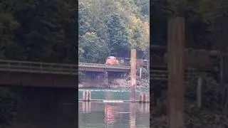 Train Experience with SNB is beyond imagination in disturbing reality. (hint: derailment deaths)