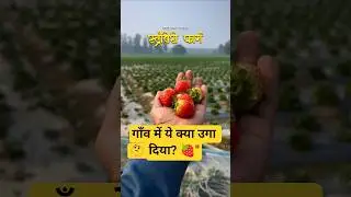 गाँव में 