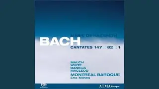 Cantata Ich habe genug, BWV 82: Ich habe genug, ich habe den Heiland (Bass)