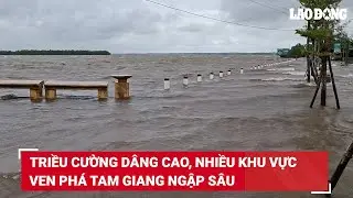 Triều cường d&acirc;ng cao, nhiều khu vực ven ph&aacute; Tam Giang ngập s&acirc;u | B&aacute;o Lao Động