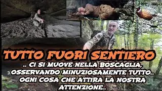 Perché vado fuori sentiero nel bosco???leggi in descrizione, e goditi  questo video.