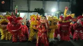 舞狮舞龙 2026年 - 忠山武道龙狮团表演