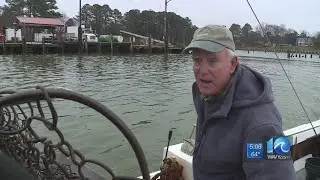 Oysterman files Virginia Supreme Court appeal over pollution in Nansemond River