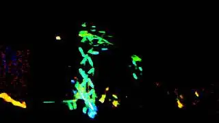 Kanegra Beach Festival 24.06.2011 6