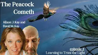 The Peacock Cometh Episode 3 With Alison J. Kay and David M. Kay | Learning to Trust the Light