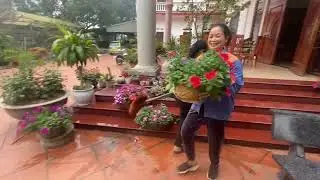 We move small potted plants | DzungFarm