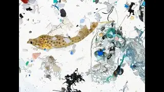 Great Pacific Garbage Patch