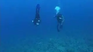 The Red Sea Shuffle