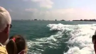 Kate and Briggys dolphin adventure