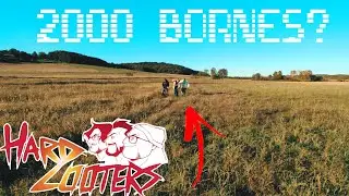 HARD LOOTERS - 2000 BORNES D'ARCADE ??? (S3E4) ft Mr Quarate, ASENKA & Keikun chez James Game Center