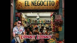 El Negocito-Luiggy luiggy