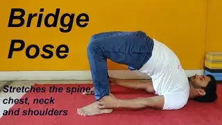 Bridge Yoga Pose - Calms the body stress and depression.