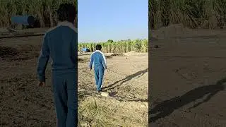Plots available at Doiwala Dudhli #dehradun #investment #doiwala #property