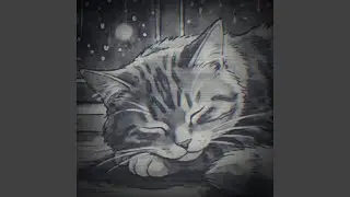 Midnight Sleep