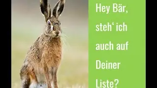 Witz ein hase ein hirsch und ein b&auml;r