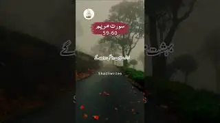 ایسے لوگ جنت میں داخل ہوں گےBeautiful Quran Recitation with Urdu Translation | Shazli Writes
