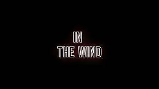 bexie- In The wind
