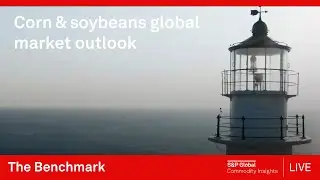 Corn & soybeans global market outlook