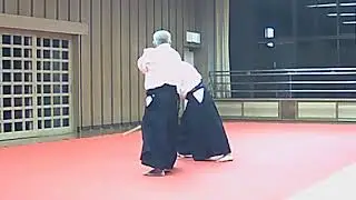 合氣道八和会　気結びの太刀　応用技