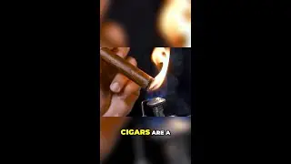 Cuban vs. Caribbean Cigars The Ultimate Flavor Showdown @factoraeng #shorts