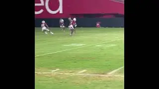 Rondale Moore Showing off his beautiful hands during practice. #shorts #youtubeshorts #nfl #football