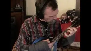 Norwegian Wood - solo mandolin arrangement