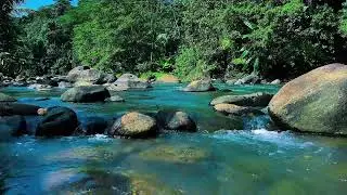 Goodbye Insomnia | Gentle River Water Sounds for Deep Sleep, Meditation & Inner Peace
