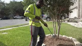Deep Root Fertilization