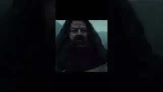 𝙃𝙖𝙜𝙧𝙞𝙙 𝙖𝙣𝙙 𝙝𝙖𝙧𝙧𝙮 𝙛𝙞𝙧𝙨𝙩𝙨 𝙫𝙨 𝙡𝙖𝙨𝙩 𝙨𝙘𝙚𝙣𝙚..#harry #edit #hogwarts #hagrid