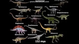 Dinosaur Timeline