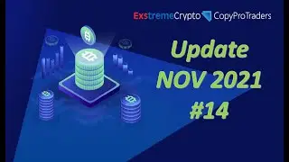 Copy Pro Traders Trader Exstreme`s Daily Update (#14) Cool Runnings