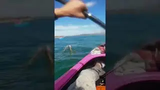 Texas adventures