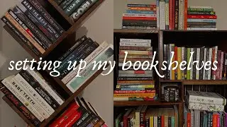 Setting Up My Bookshelves in the New Apartment | Home Vlog