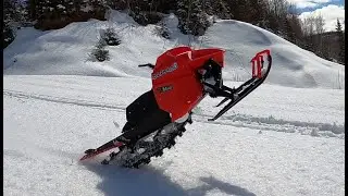WHEELY KING,ALPHA 6 rc snowmobile 3d printed& BACKFLIP.