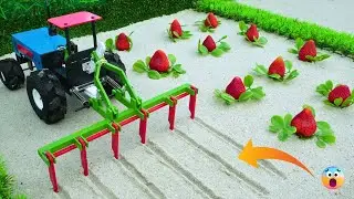 DIY mini tractor with plough| strawberry farming science project @ outbackcreator