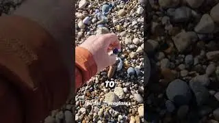 &laquo;Пиратское море&raquo; &mdash; это просто безумие! (@seaham4seaglass через TT)
