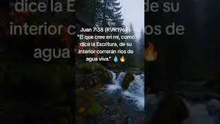 Jes&uacute;s de Nazaret es la fuente de agua vivas